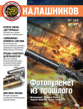 ���������� 2025-246