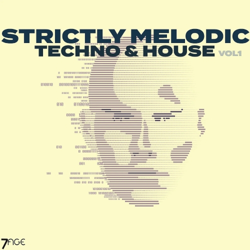 Strictly Melodic Techno & House Vol. 1 (2025)