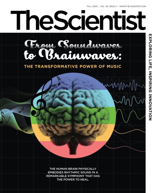 The Scientist - Fall 2025