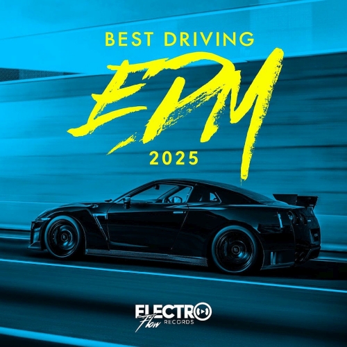 Best Driving EDM (2025)
