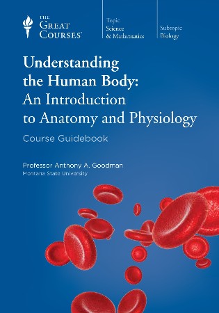 Cover: Understanding The Human Body: An Introduction to Anatomy and Physiology - Goodman, Professor Anthony A.