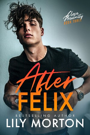 Cover: After Felix - Morton, Lily