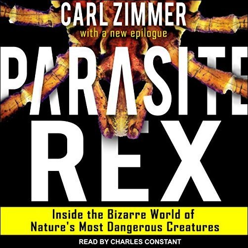 [Image: dadfad5aaf850c6e2b59887b551e8fc5.jpg]