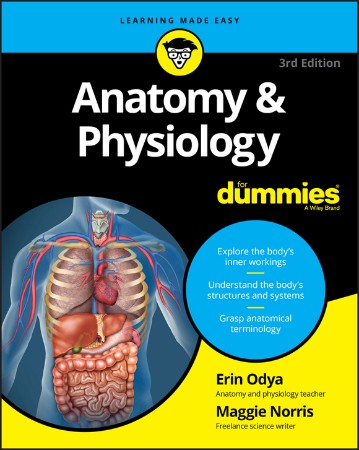 Cover: Anatomy & Physiology For Dummies - Erin Odya, Maggie Norris