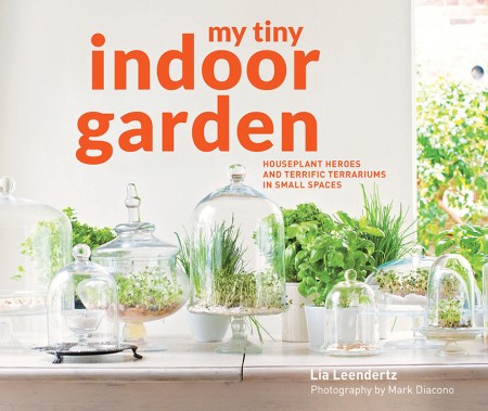 Cover: My Tiny Indoor Garden: Houseplant heroes and terrific terrariums in small spaces - Diacono, Mark