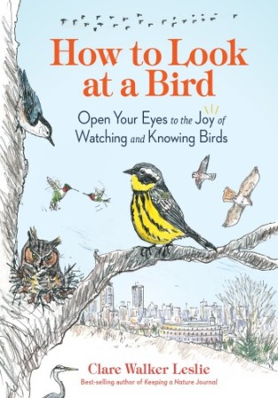 Cover: How to Look at a Bird: Open Your Eyes to the Joy of Watching and Knowing Birds - Leslie, Clare Walker