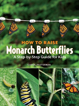 Cover: How to Raise Monarch Butterflies: A Step-By-Step Guide for Kids - Pasternak, Carol