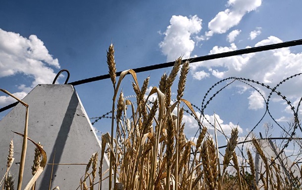 Аграрии завершили сбор пшеницы в Украине