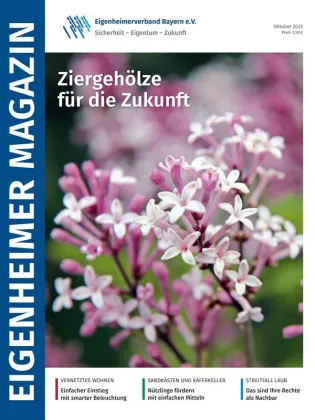 22e92bb2c9b4ab2d20f74f027719c6d3.webp