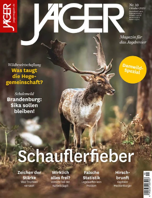 [Bild: fc256d2763d1015f44ecadc3cbc0a4d3.png]