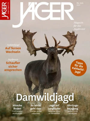 [Bild: 3564f5f9081c5fc74776a9903b7fe5eb.png]