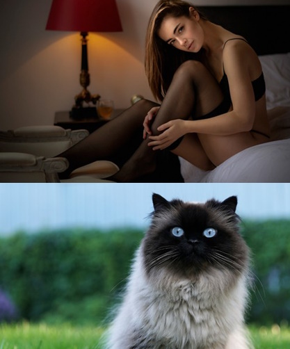 Best Wallpapers Mix Collection 17