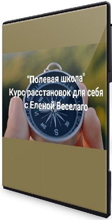 постер к Елена Веселаго - Курс расстановок для себя (Полевая школа) (2025) CAMRip