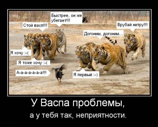 5488a553047aa435ecd015b4561f7194.jpg