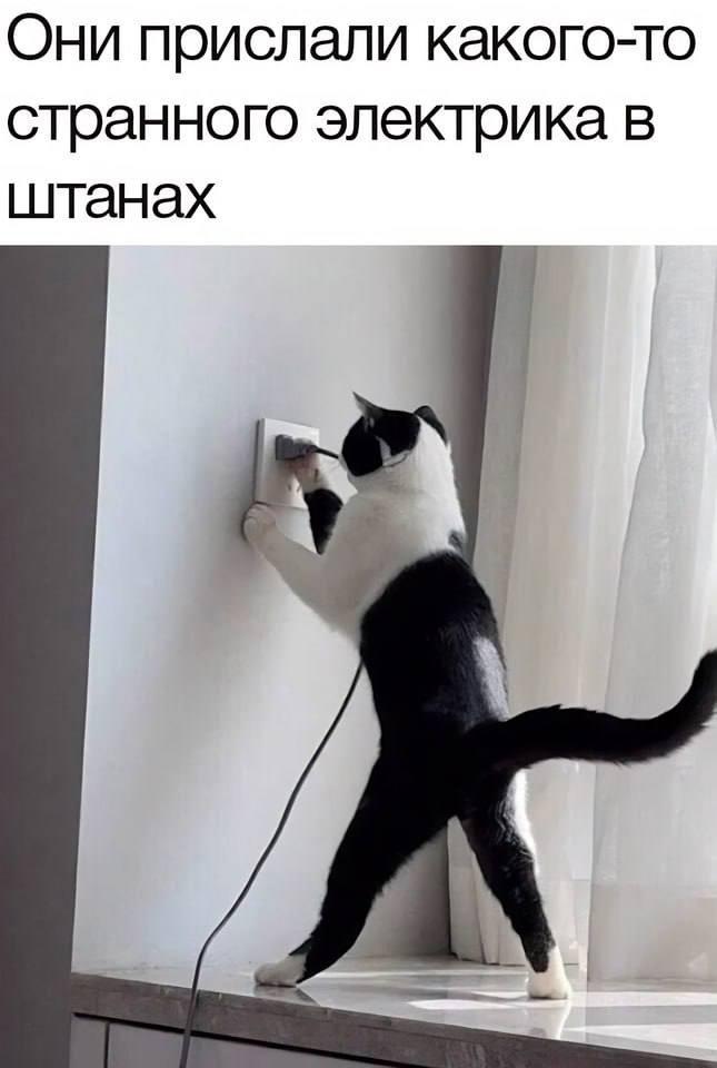 79e703012ae91fc6788185bed38a27f4.jpeg