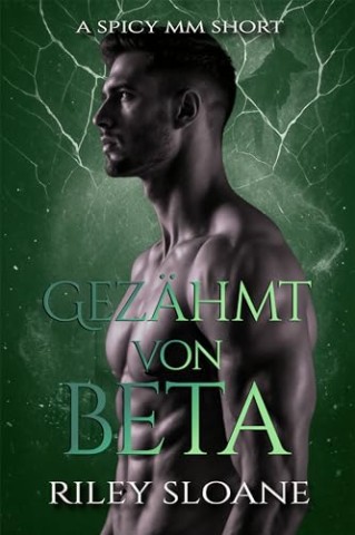 Cover: Riley Sloane - Gez&auml;hmt vom Beta