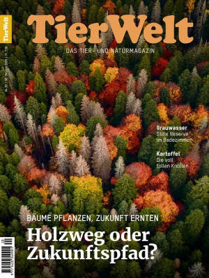 [Bild: 7134d14d07c3828a0419d56ff28e8fa1.png]