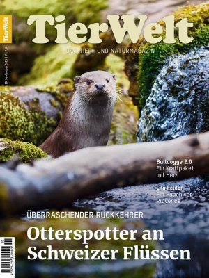 [Bild: dcfc9a0c3c300262bfb3621f1a7347ba.png]