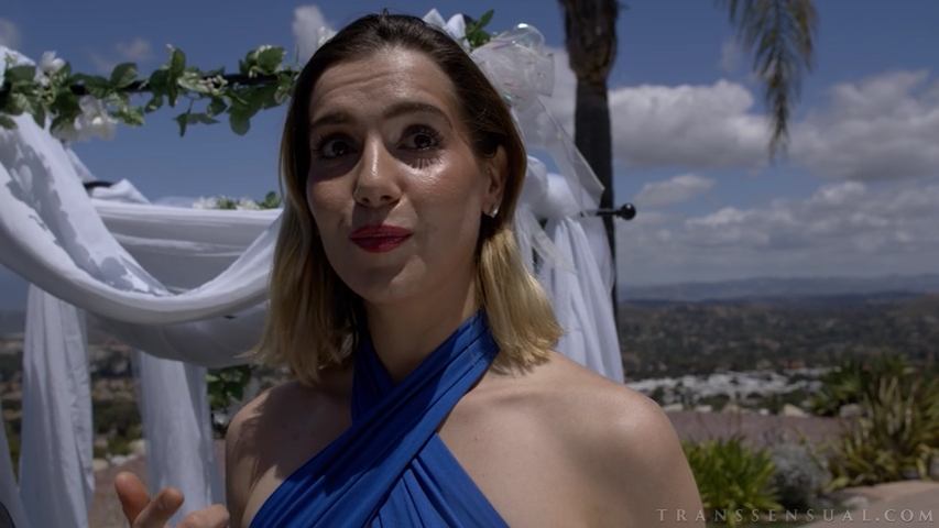 Gal Ritchie, Avery Lust, Casey Calvert, Ariel Demure - My Big Cock Cummy Wedding