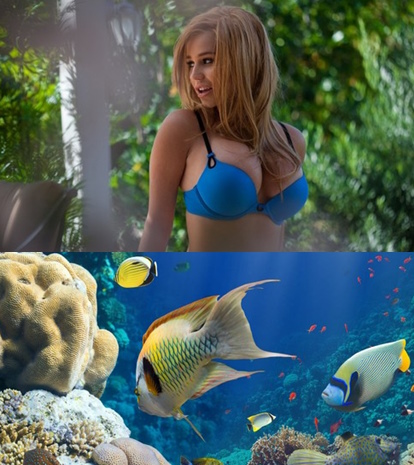 Best Mixture Wallpapers Collection 69