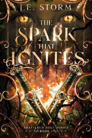 The Spark that Ignites: Shattered Soul Series - J.E. Storm
