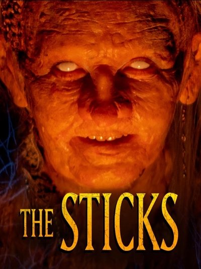 The Sticks 2025 1080p AMZN WEB-DL DD2 0 H 264-playWEB
