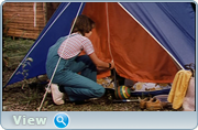 https//i126.fastpic.org/big/2025/1005/ed/12fa8c628ff8cc21d906d1817731ed.png