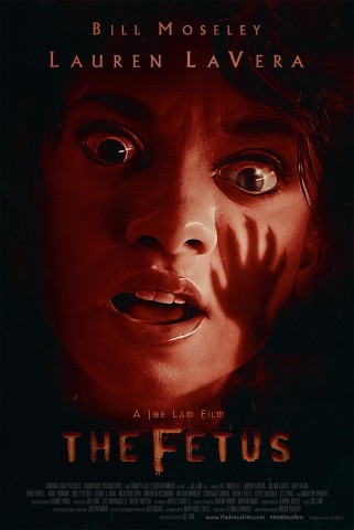 Die Wiege der Hoelle 2025 German Dl 1080p BluRay Avc-PtBm