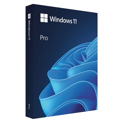Windows 11 Pro 25H2