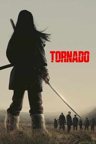 Tornado 2025 1080p AMZN WEB-DL DDP5 1 H 264-BLOOM