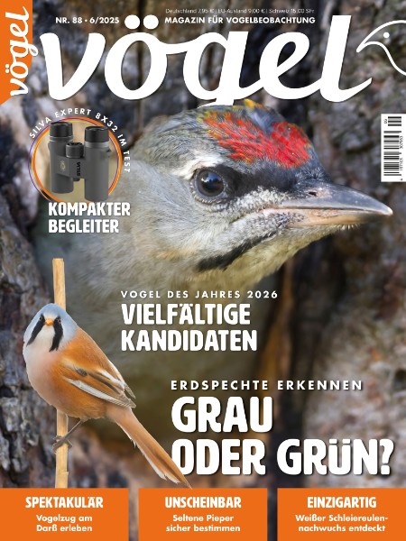 Vögel 6.2025 Vögel 6.2025