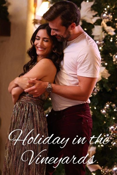 Holiday In The Vineyards 2023 1080p NF WEB-DL DDP5 1 H264-SPWEB
