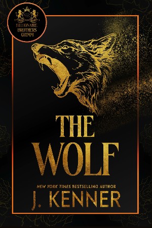 Deutsch f&uuml;r Kenner - Schneider, Wolf