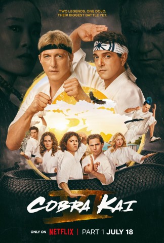Cobra Kai S02E04 German Dl 2160p Web H265-Fwb Cobra Kai S02E04 German Dl 2160p Web H265-Fwb