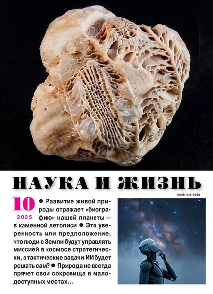 Наука и жизнь №10 (октябрь 2025)