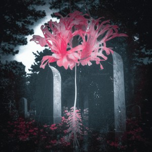 After Hour Animals - Total Disconnect (EP) (2025)