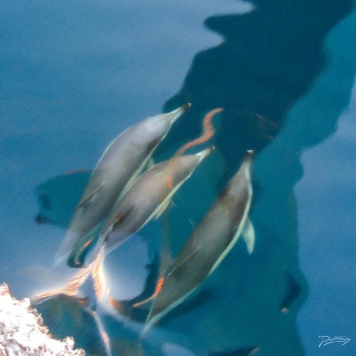 Gramrcy & John Loveless - Lucid / Feel So (2025)   Gramrcy & John Loveless - Lucid / Feel So (2025)