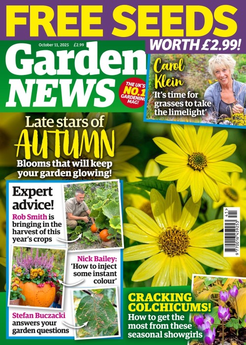 Garden News - October 11, 2025
