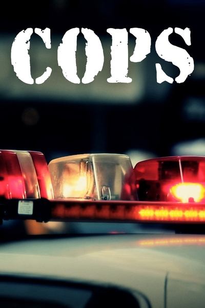 Cops S37E27 720p HEVC x265-MeGusta