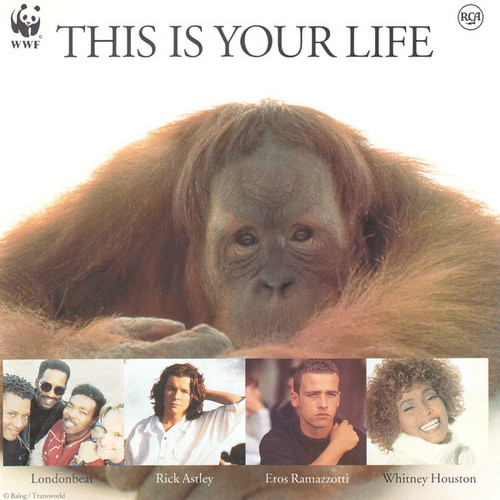 This Is Your Life (1991) FLAC
