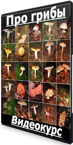 Сергей Подковальников - Про грибы (2025) Видеокурс