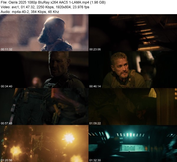 [Image: 526173db353b48a6726391b9c7cf6704.jpg]