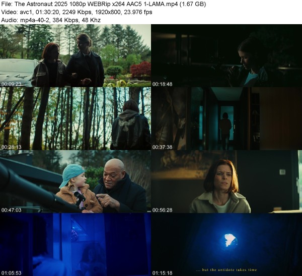 [Image: ee03a76e46b265230b9d5bcce740741b.jpg]