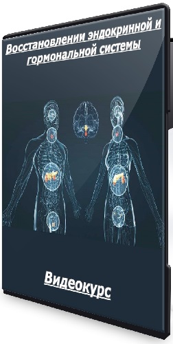 Алена Ковальчук - Восстановлении эндокринной и гормональной системы [Тариф Супер vip] (2025) Видеокурс