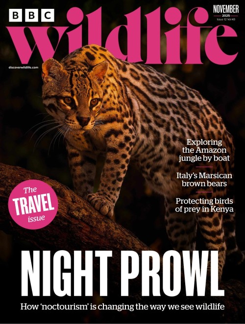 BBC Wildlife Magazine – November 2025