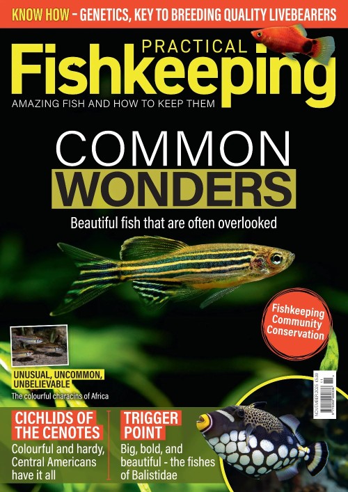 Practical Fishkeeping – November 2025