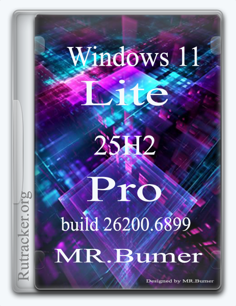 Windows 11 Pro 25H2 Lite