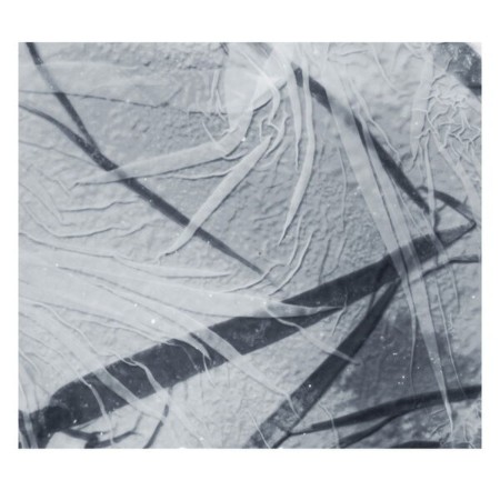 Scanner - Forces, Reactions, Deflections (2025) [FLAC]