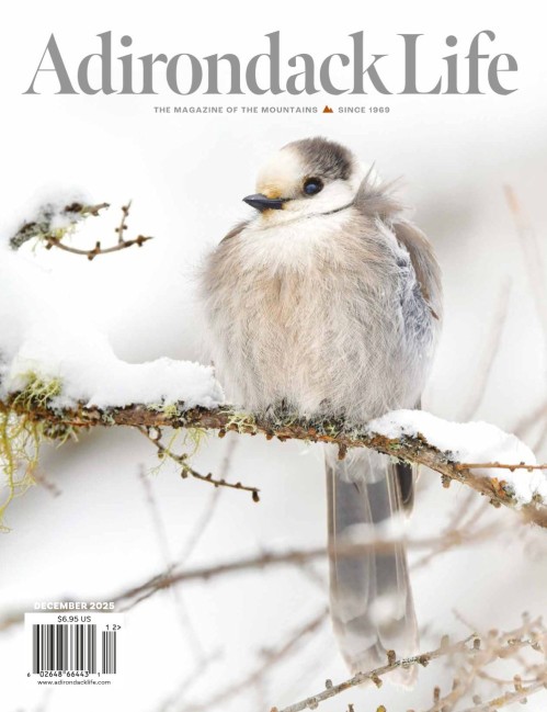 Adirondack Life – November/December 2025