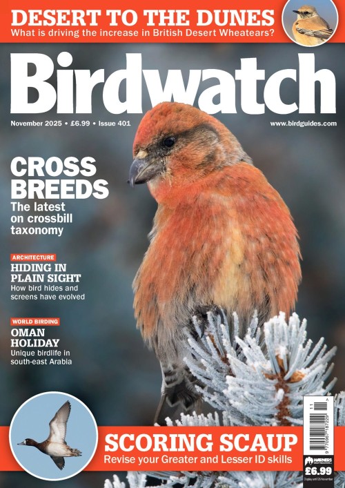 Birdwatch UK – November 2025
